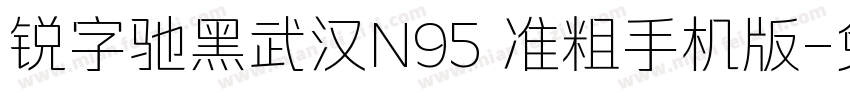 锐字驰黑武汉N95 准粗手机版字体转换